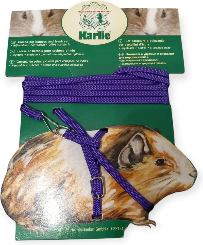 harnas en leiband voor cavia's by Karlie in Purple – product photo