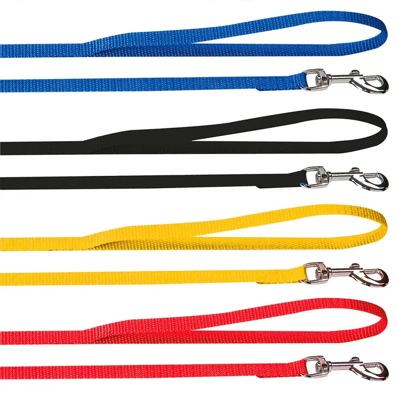 Laisse Pour Chiot Assorti by Karlie – product photo