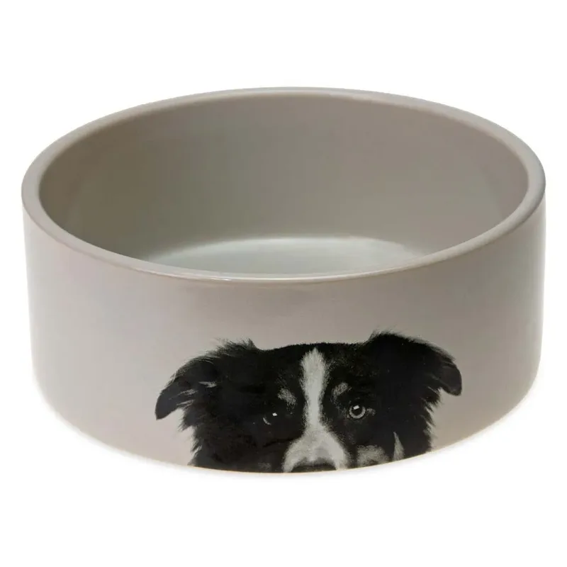 Mangeoire Pour Chien by Karlie – product photo