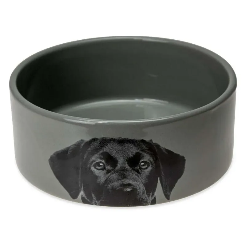 Mangeoire Pour Chien de Karlie – photo produit