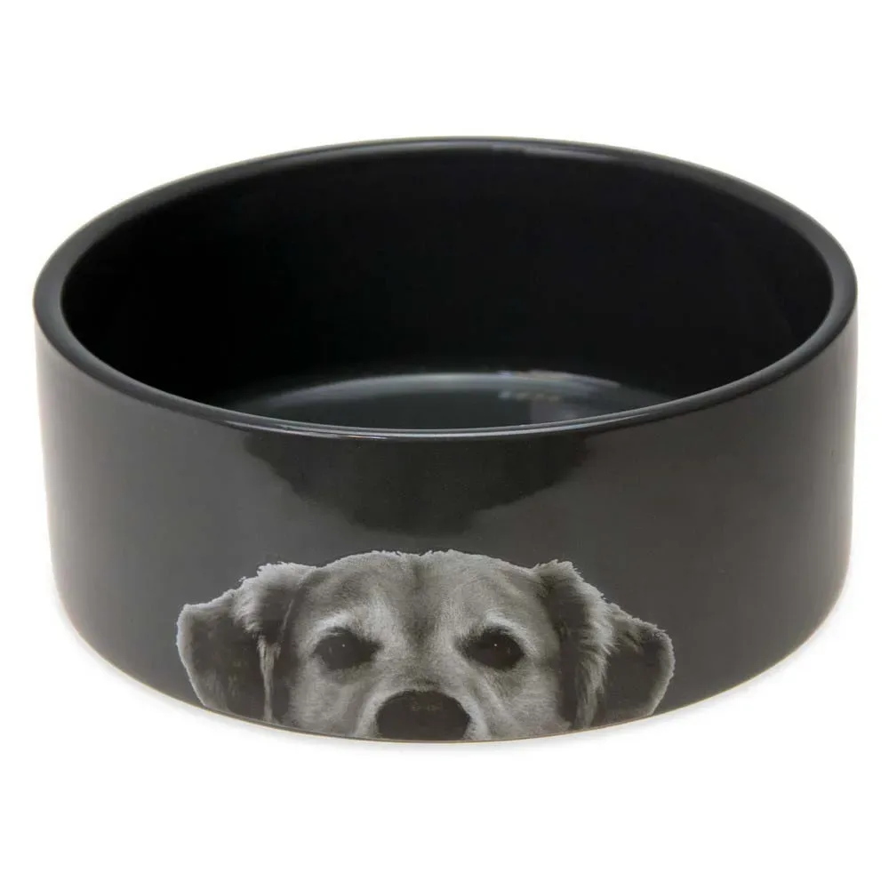 Mangeoire Pour Chien von Karlie – Produktfoto