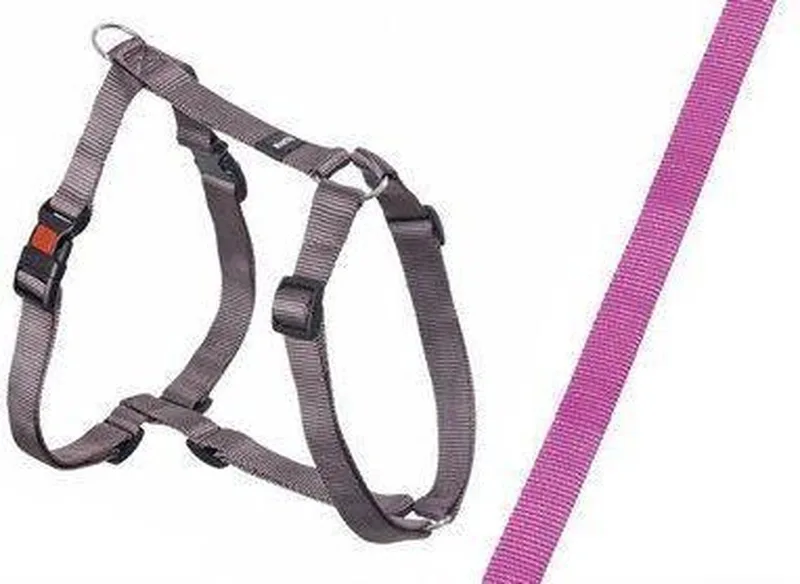 Riem Plus hondentuig 25mmx65 100cm van Karlie in Roze – productfoto