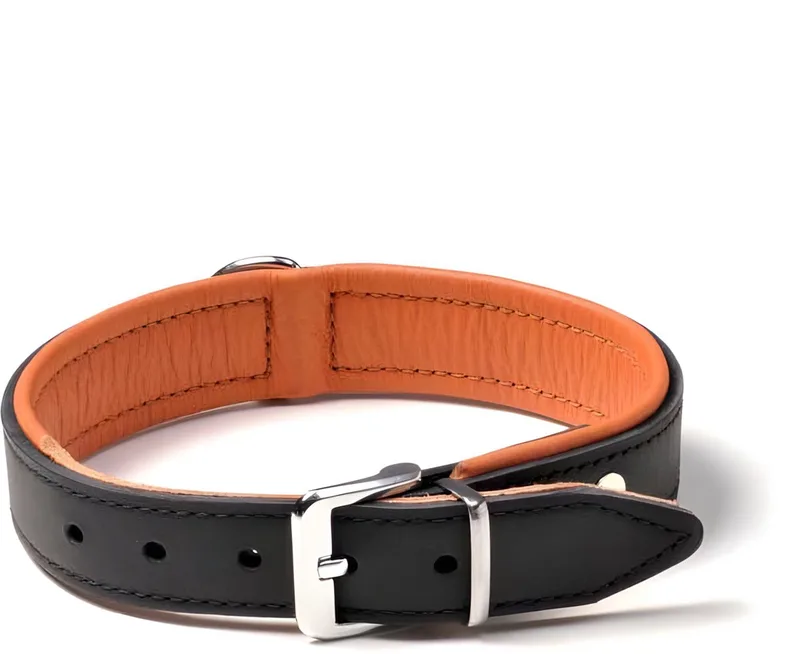 Rodeo - Halsband - Leer - Zwart/Cognac - Verstelbaar von Karlie in Cognac – Produktfoto