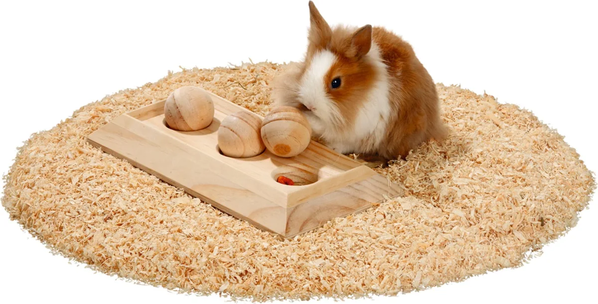 Rody Brain Train Board, 3 Kugeln - 1 Stk by Karlie – product photo