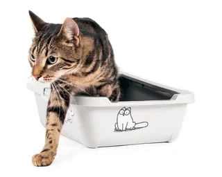 Simons Kattenbak by Karlie – product photo 2 of 4