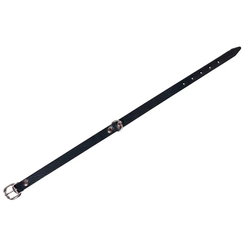 Youngster Hondenhalsband från Karlie – produktbild
