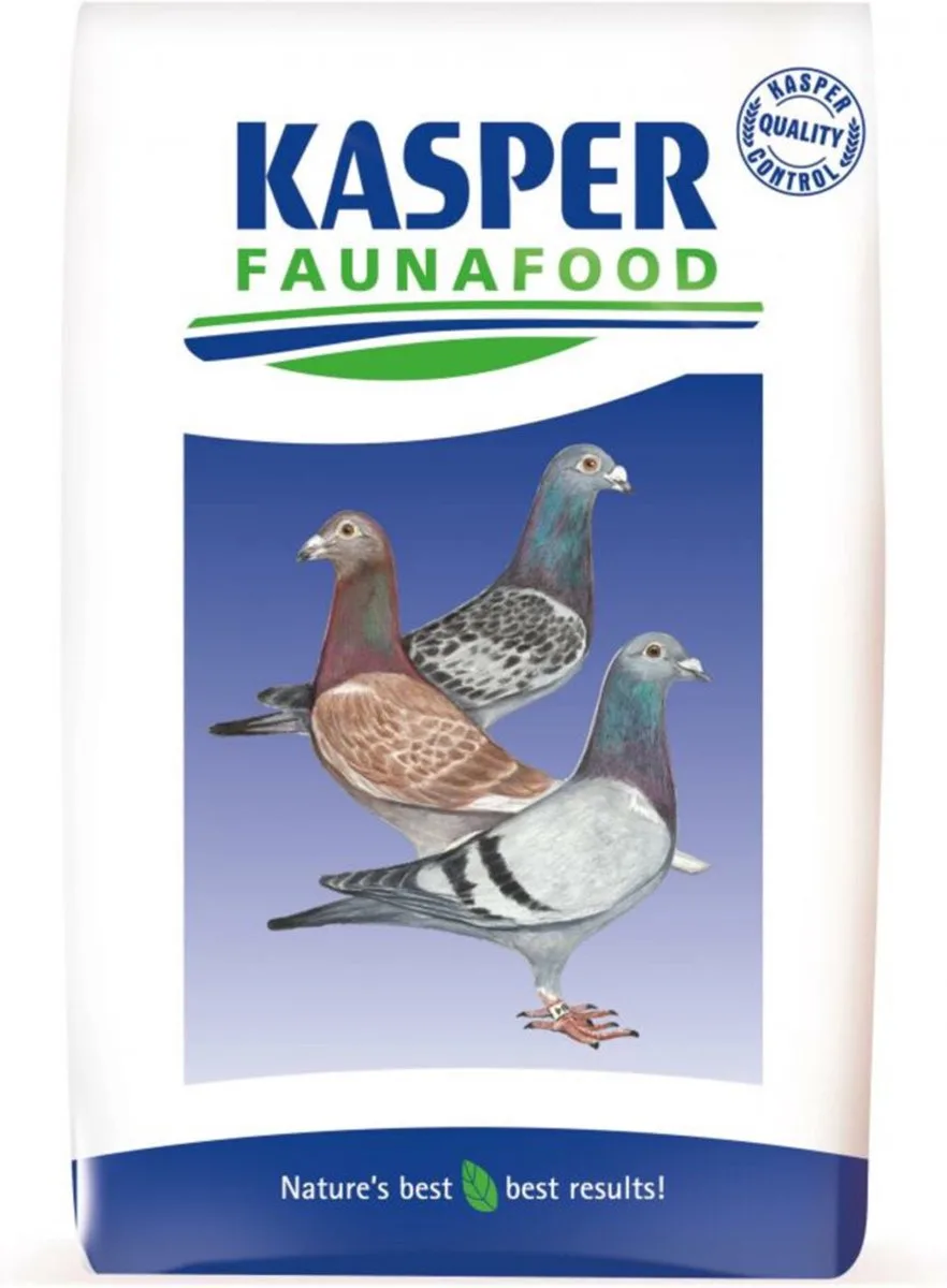 P40 Duivenkorrel 20 kg by Kasper Faunafood – product photo
