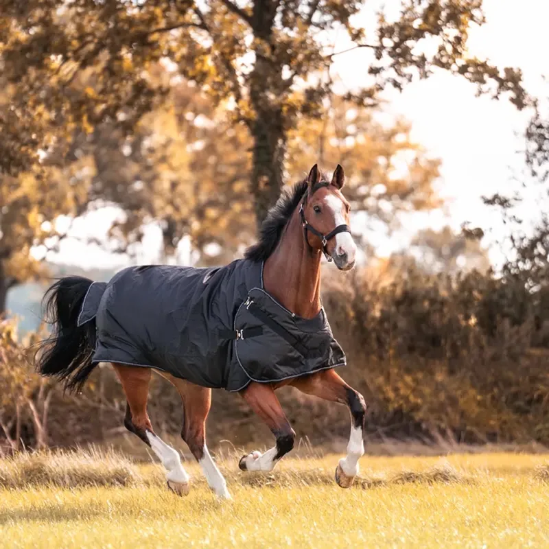 2in1 outdoor en stapmolen paarden staldeken Kavalkade Halifax von Kavalkade in Schwarz – Produktfoto
