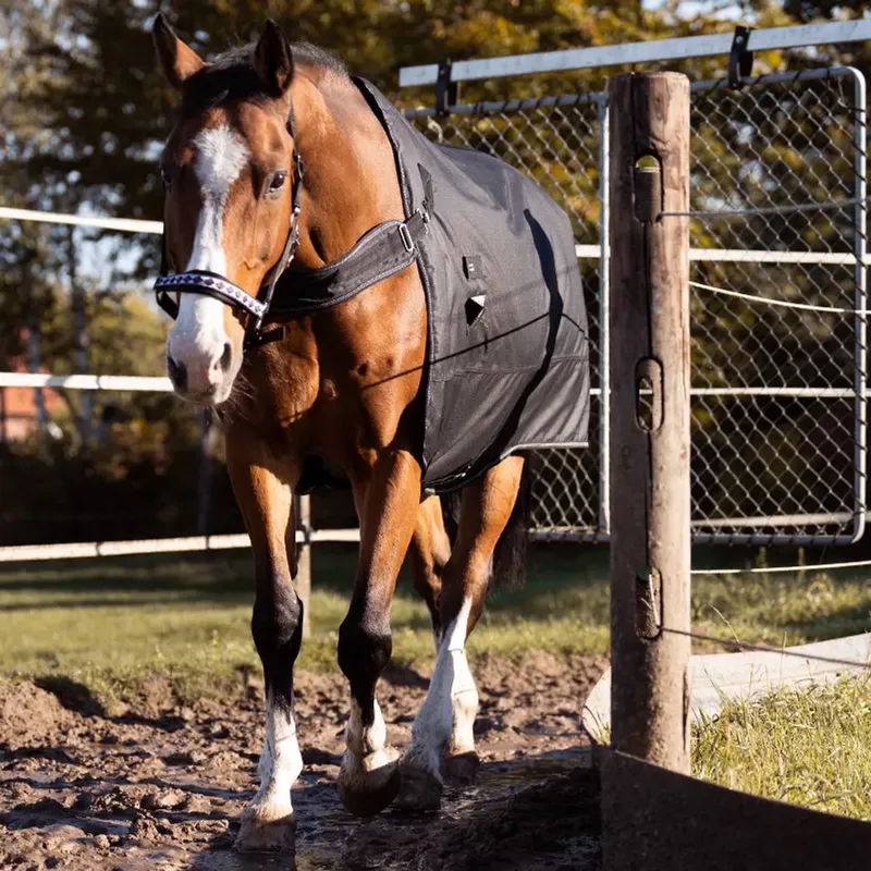 2in1 outdoor en stapmolen paarden staldeken Kavalkade Halifax by Kavalkade in Black – product photo