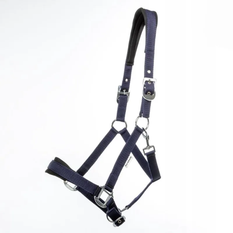Classic Simple COB hoofdstel de Kavalkade en Bleu – photo produit