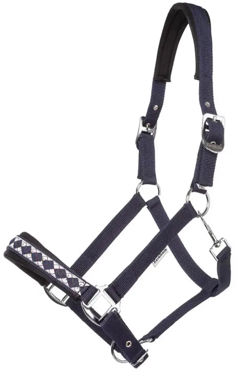 Halsband voor paard Kavalkade Kaltblut Classic von Kavalkade in Marine, Schwarz – Produktfoto