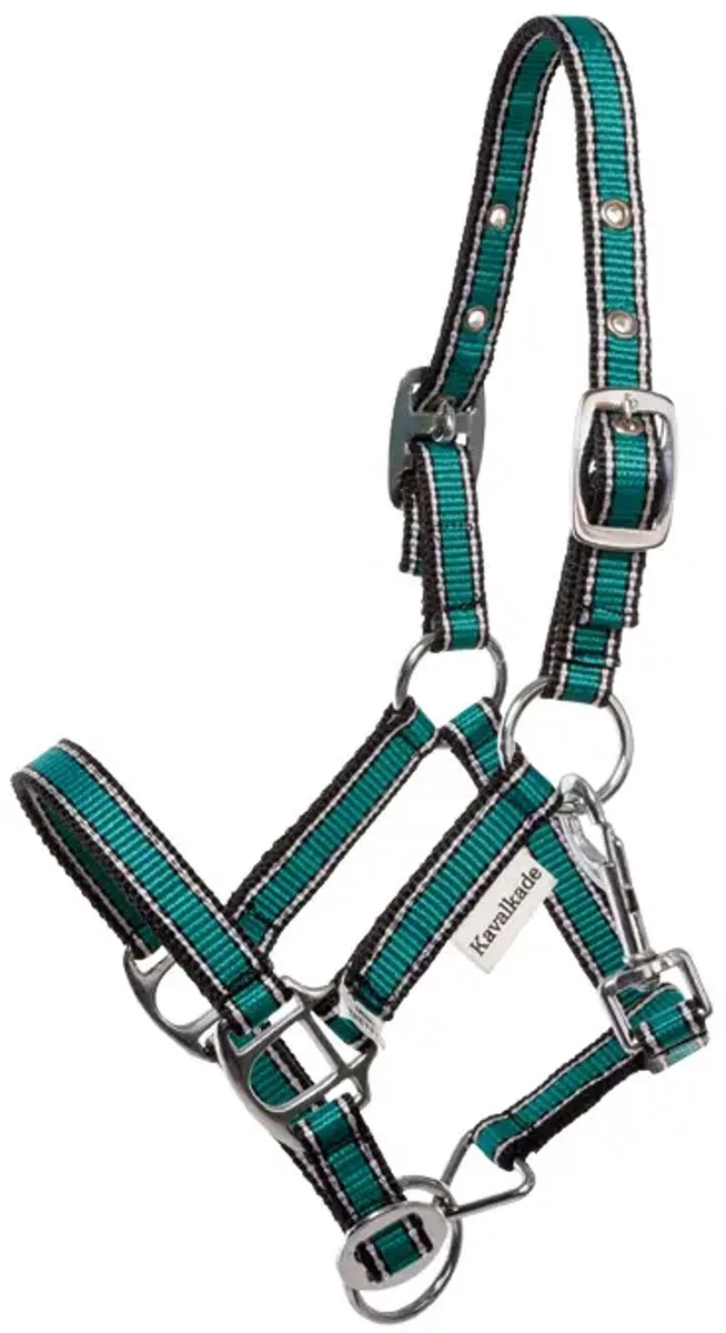 Halsband voor paard Kavalkade Shorty von Kavalkade in Grün – Produktfoto