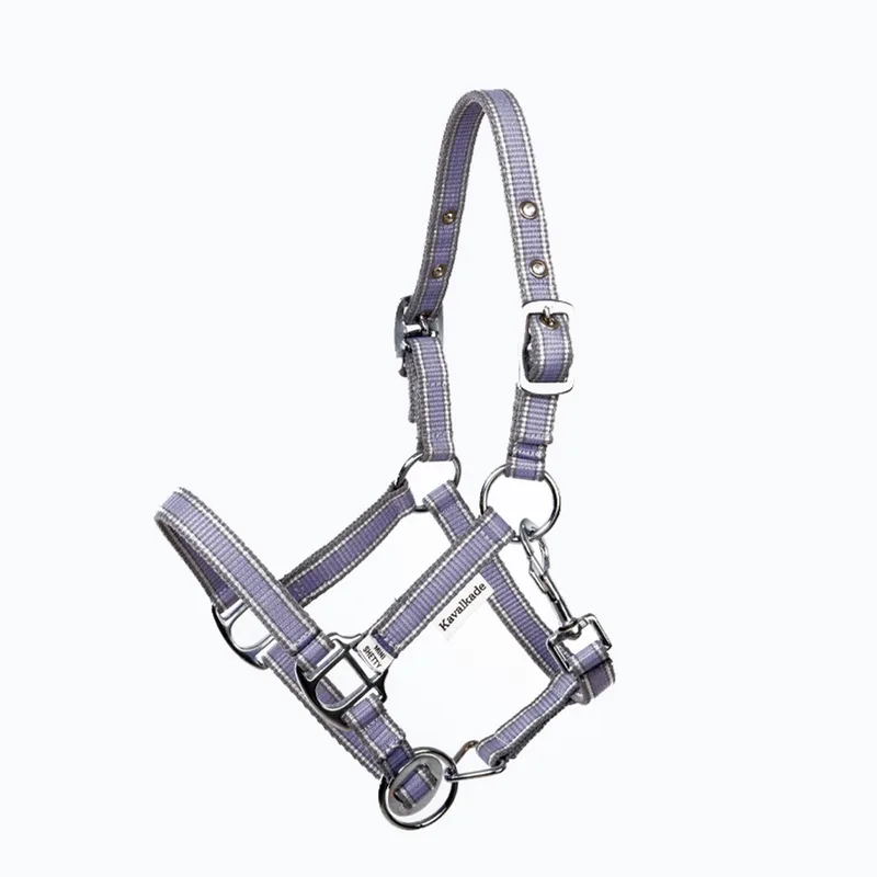 Halsband voor paard Kavalkade Shorty de Kavalkade en Violet – photo produit