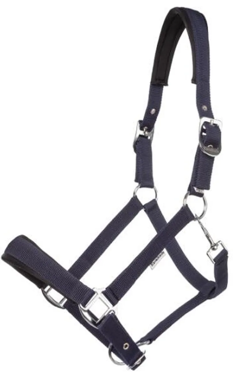 Halster voor paarden Kavalkade Perlon Classic-Simple de Kavalkade en Marine – photo produit