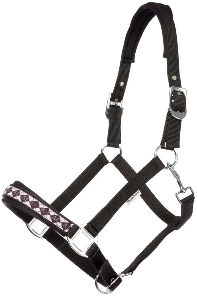 Halster voor paarden Kavalkade Perlon Classic von Kavalkade in Schwarz – Produktfoto