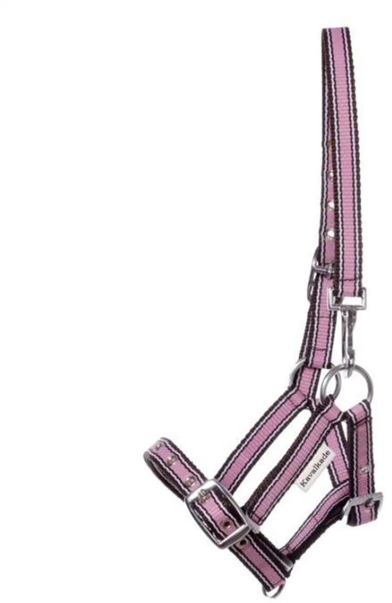 Halster voor veulens en jaarlingen Kavalkade by Kavalkade in Pink – product photo
