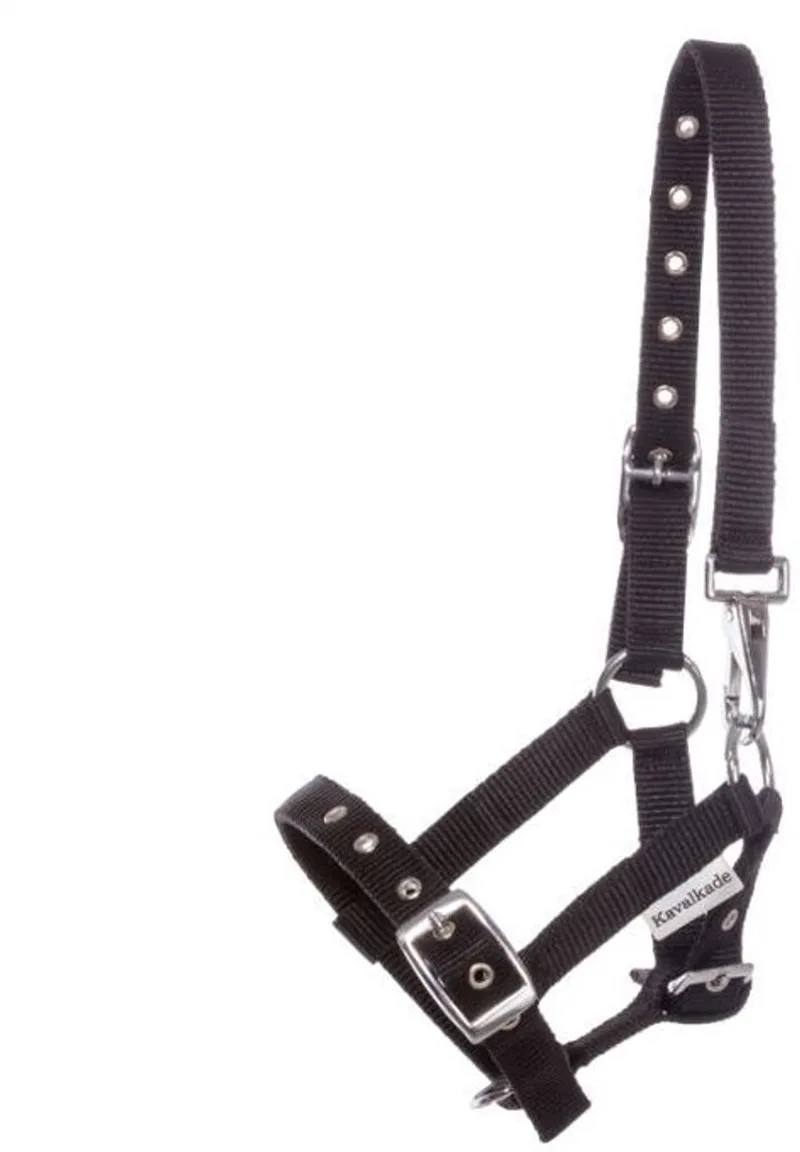 Halster voor veulens en jaarlingen Kavalkade by Kavalkade in Black – product photo