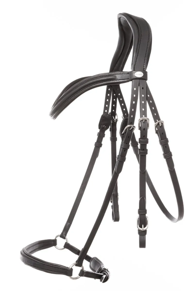 Hannoveraans anatomisch hoofdstel Kavalkade Everado by Kavalkade in Black – product photo