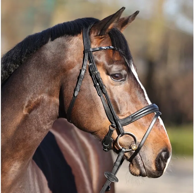 Hoofdstel Ivette-Black-Pony by Kavalkade – product photo