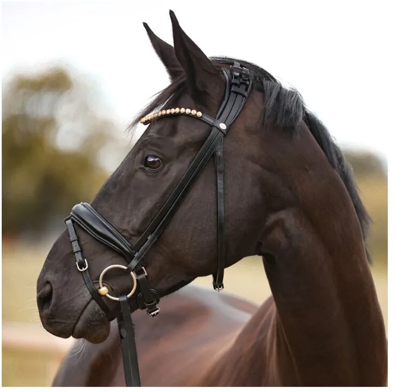 Lederen hoofdstel Kavalkade Fortuna by Kavalkade in Black – product photo