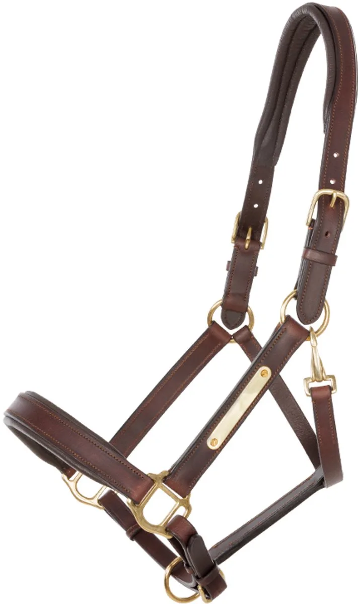 Leren halster voor paard Kavalkade Cinta by Kavalkade in Brown – product photo