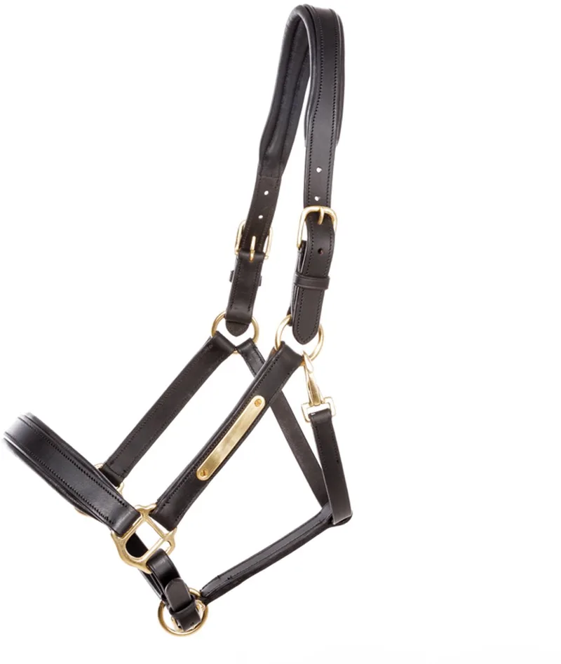 Leren halster voor paard Kavalkade Cinta by Kavalkade in Black – product photo