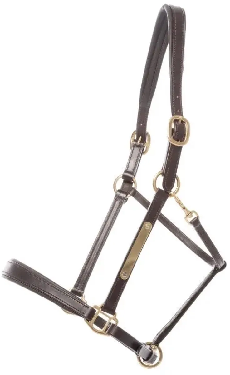 Leren halster voor paarden Kavalkade Bennet by Kavalkade in Brown, Brass – product photo