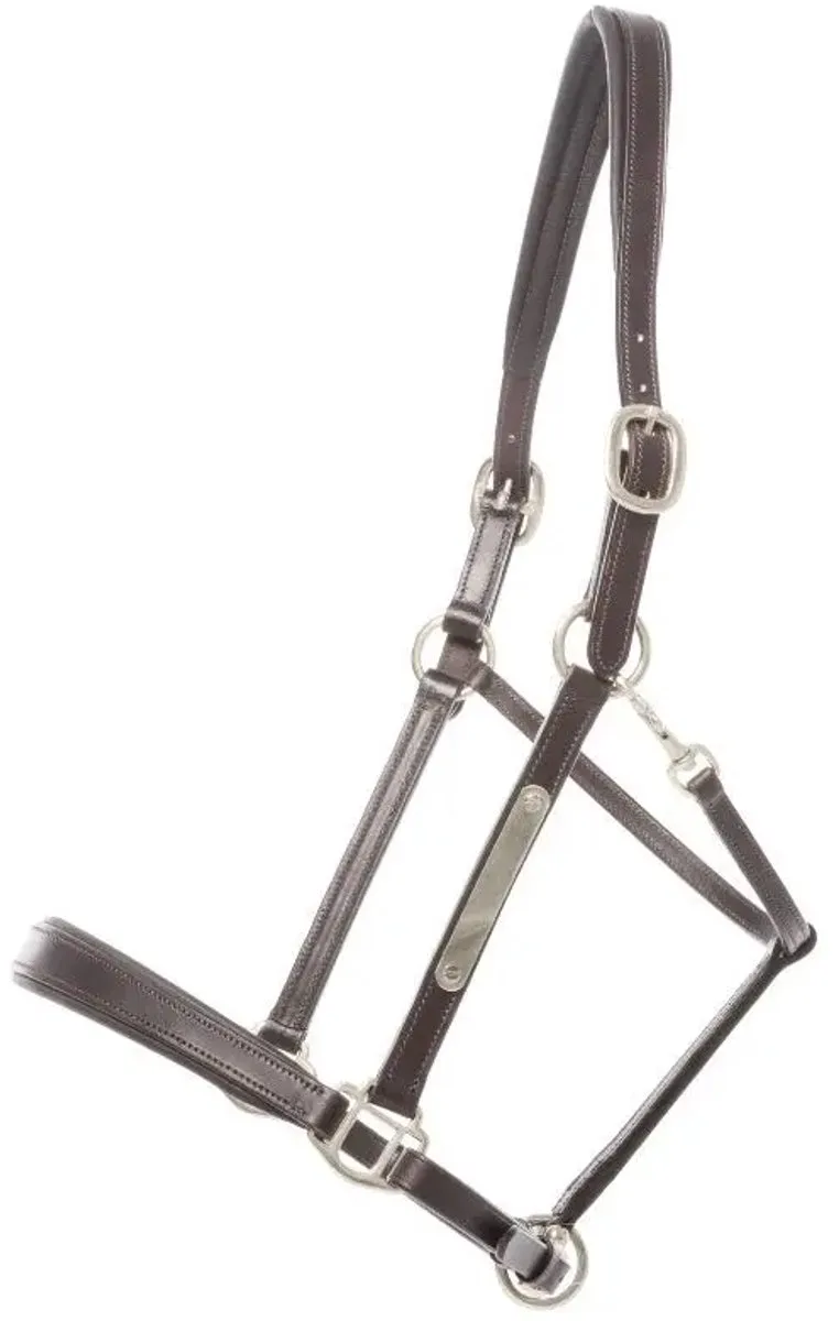 Leren halster voor paarden Kavalkade Bennet von Kavalkade in Braun, Silber – Produktfoto