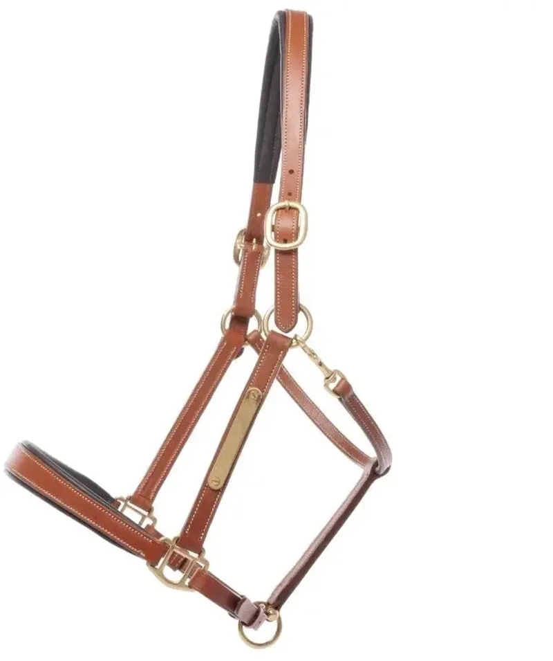 Leren halster voor paarden Kavalkade Bennet von Kavalkade in Cognac, Messing – Produktfoto