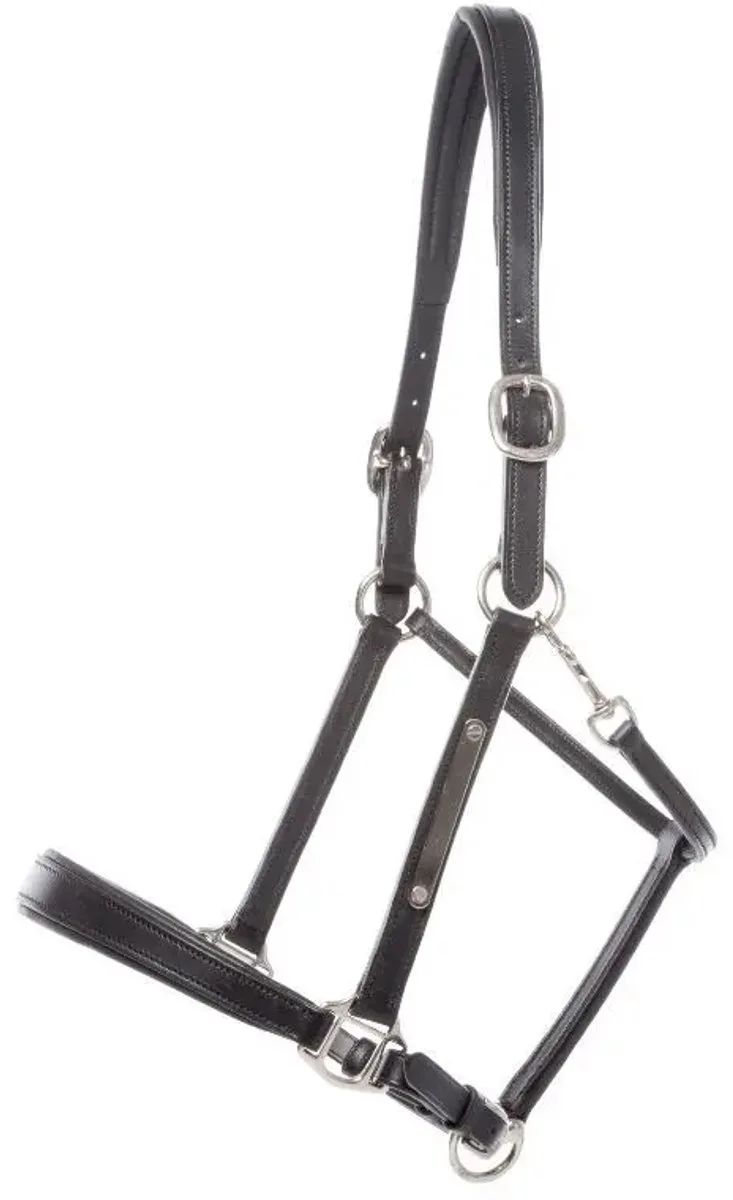 Leren halster voor paarden Kavalkade Bennet by Kavalkade in Black, Silver – product photo