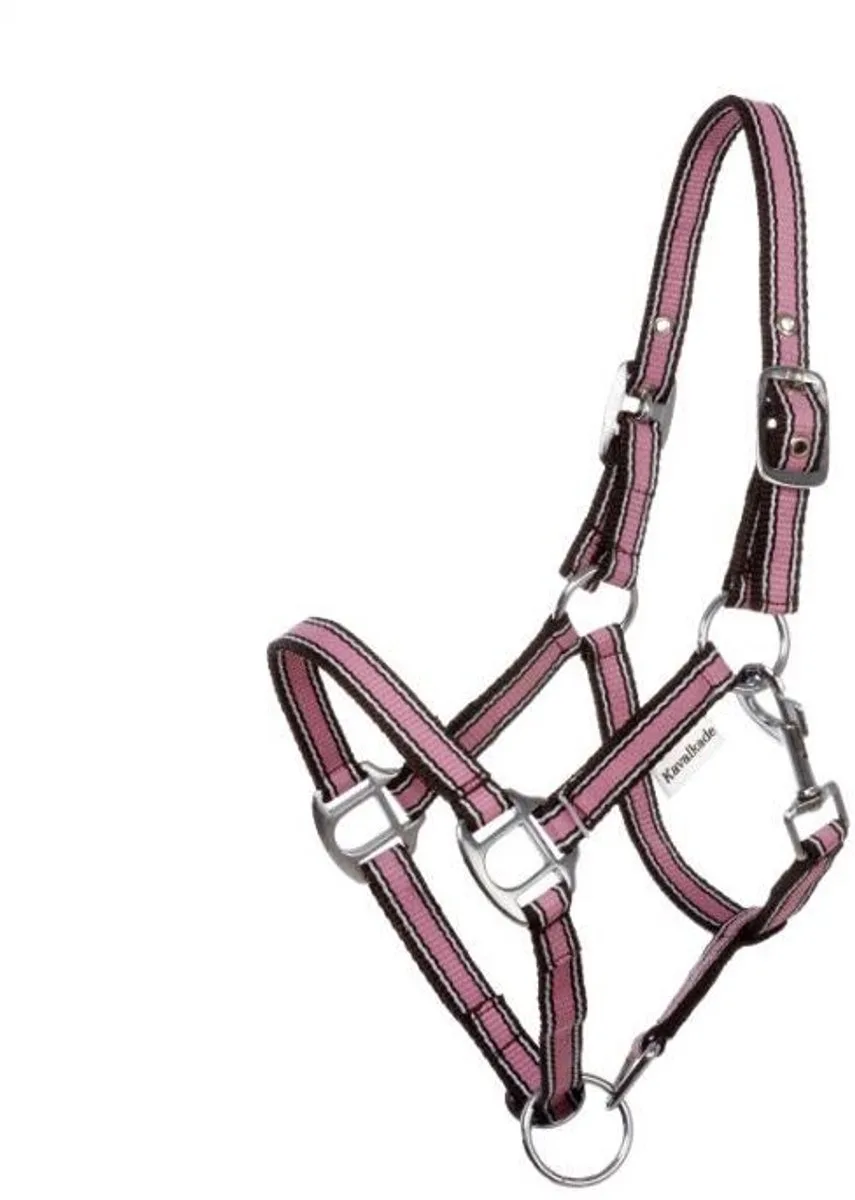 Paardenhalster in twee verschillende maten Kavalkade Shorty de Kavalkade en Rose – photo produit