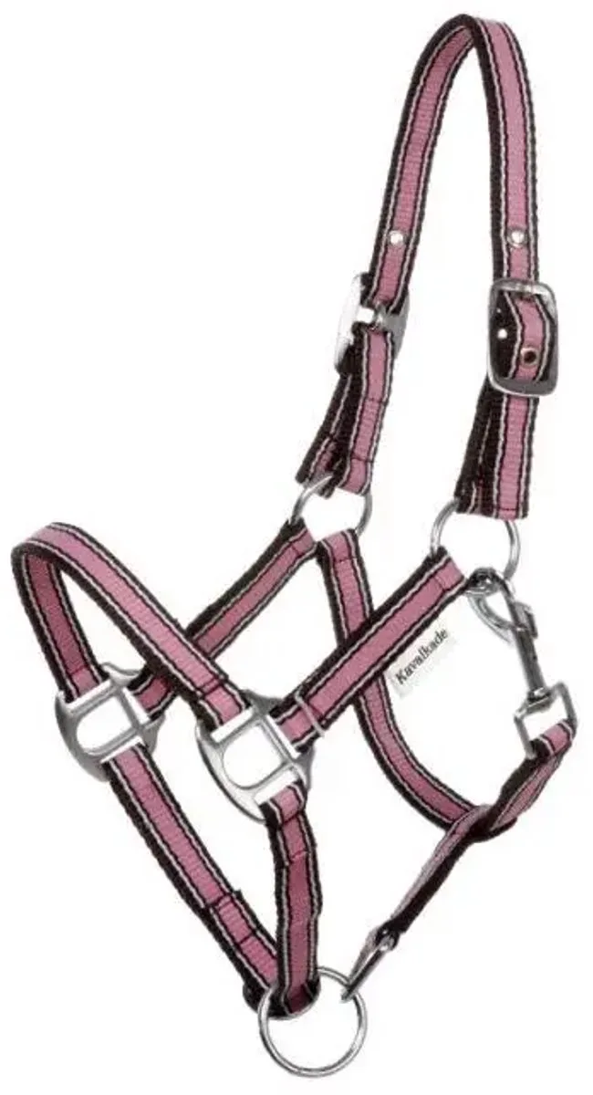 Paardenhalster in twee verschillende maten Kavalkade Shorty de Kavalkade en Rose – photo produit