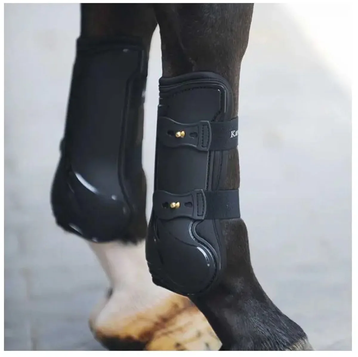 Peesbeschermer voor paarden Kavalkade Compete van Kavalkade in Zwart – productfoto