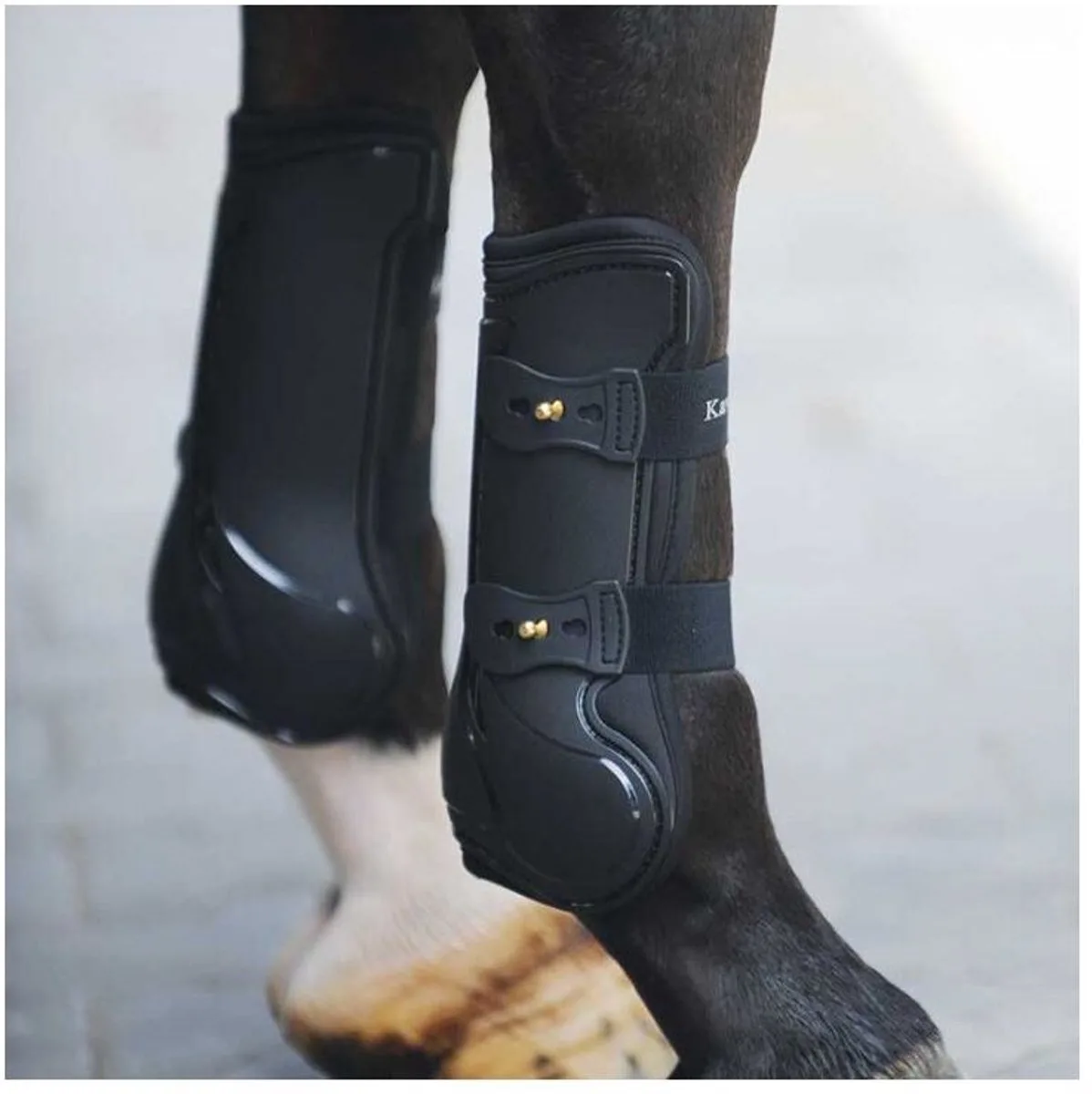 Peesbeschermer voor paarden Kavalkade Compete van Kavalkade in Zwart – productfoto