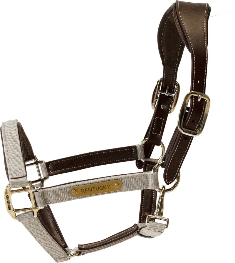 Anatomisch Halster - Nylon - Maat Cob van Kentucky Horsewear in Beige – productfoto