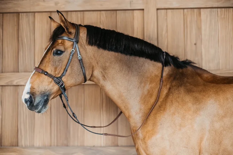 Bitloos Hoofdstel PONY - Buffelleer von Kentucky Horsewear in Braun – Produktfoto