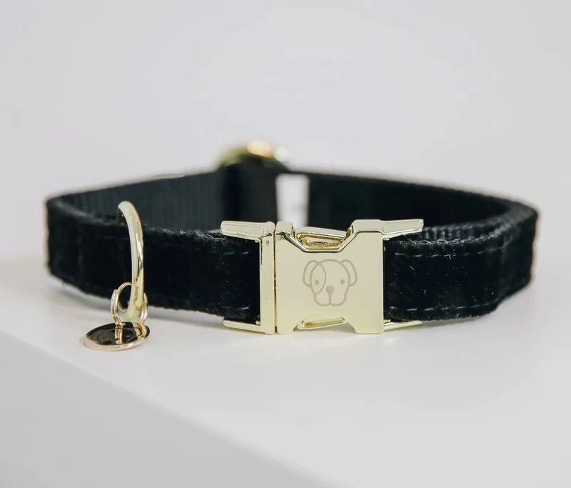 Corduroy Halsband / Hondenhalsband - Microvezel - M - Nekomtrek: 36 - 52 cm (GELIEVE ALVORENS BESTELLEN OPMETEN) de Kentucky Horsewear en Noir – photo produit