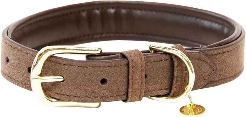 Dog collar Velvet leathe' Size XXS-31cm - Hondenriem fra Kentucky Horsewear i Brun – produktbillede