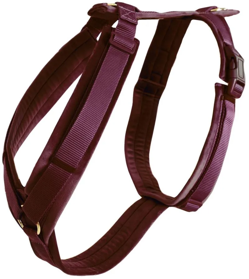 Dogwear - Hond harnas actief velvet S 26-40cm de Kentucky Horsewear en Bordeaux – photo produit