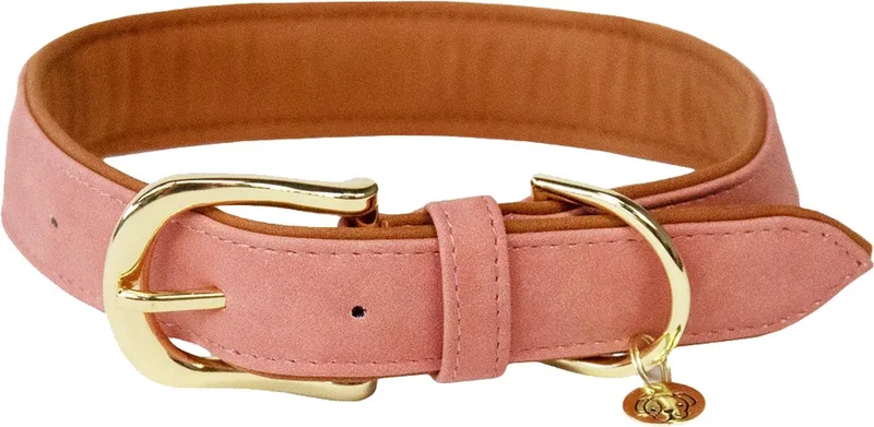 Dogwear - Hondenhalsband - Gevlochten Nylon Hondenriem - Lichtblauw - Maat XXS (28cm) van Kentucky Horsewear in Perzik – productfoto