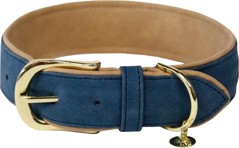 Dogwear - Hondenhalsband - Gevlochten Nylon Hondenriem - Oranje - Maat XS (37cm) van Kentucky Horsewear in Marineblauw – productfoto