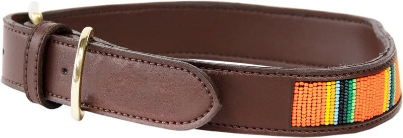 Dogwear - Hondenhalsband - Handgemaakte Parels Hondenriem - Pure - Maat XL (71cm) by Kentucky Horsewear in Orange – product photo