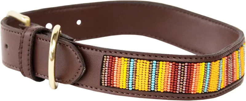 Dogwear - Hondenhalsband handgemaakte parels pure XS 37cm - Hondenriem fra Kentucky Horsewear i Orange – produktbillede