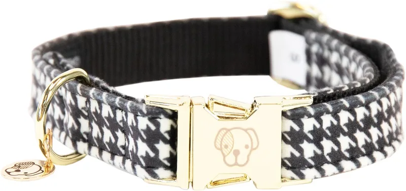 Dogwear - Hondenhalsband Pied De Poule - Maat XL - 45-75cm - Hondenriem de Kentucky Horsewear en Noir – photo produit