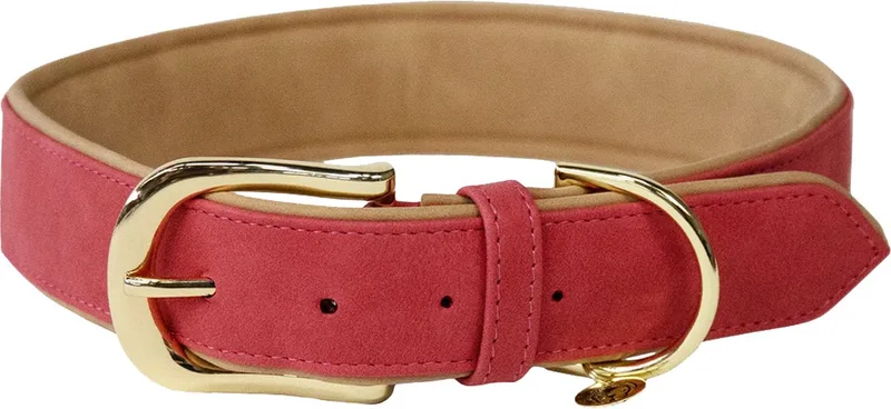 Dogwear - Hondenhalsband - Vegan Leer XL/71CM - Hondenriem de Kentucky Horsewear en Rouge – photo produit