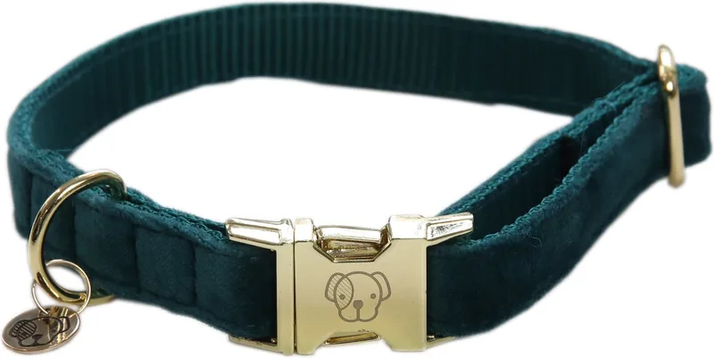 Dogwear - Hondenhalsband - Velvet - Emerald L - 42-68cm - Hondenriem de Kentucky Horsewear en Smaragd – photo produit