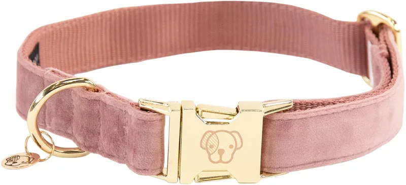 Dogwear - Hondenhalsband - Velvet - Oud Roze S - 28-40cm - Hondenriem by Kentucky Horsewear in Oudroze – product photo