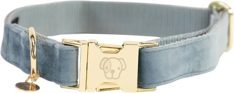 Dogwear - Hondenhalsband - Velvet - S - 28-40cm - Hondenriem van Kentucky Horsewear in Lichtblauw – productfoto