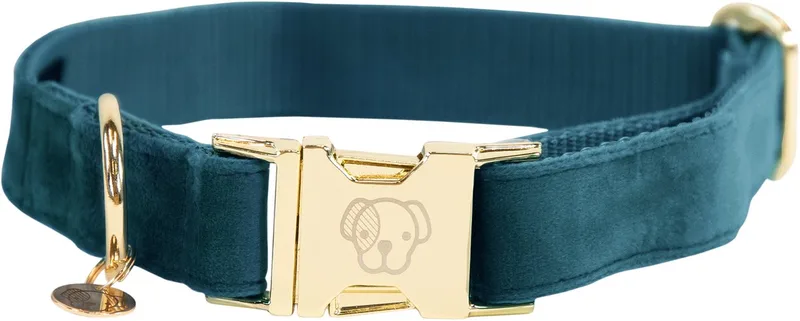Dogwear - Hondenhalsband - Velvet - XL - 45-75cm - Hondenriem fra Kentucky Horsewear i Emerald – produktbillede