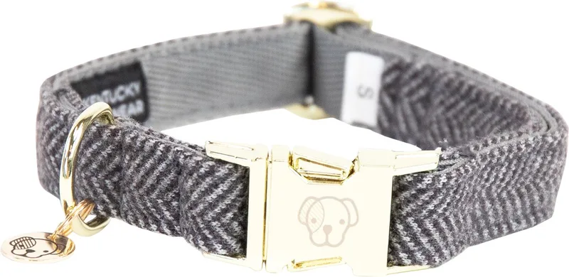Dogwear - Hondenhalsband - Wol - Maat S - 28-40cm - Hondenriem by Kentucky Horsewear in Grey – product photo